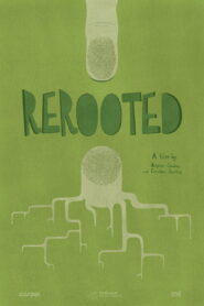 ReRooted