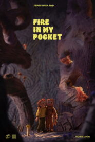 Fire in My Pocket