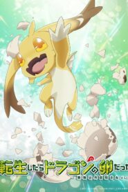 転生したらドラゴンの卵だった～最強以外目指さねぇ～