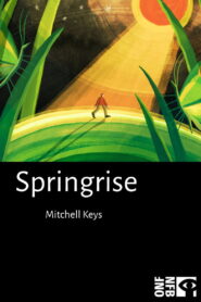 Springrise